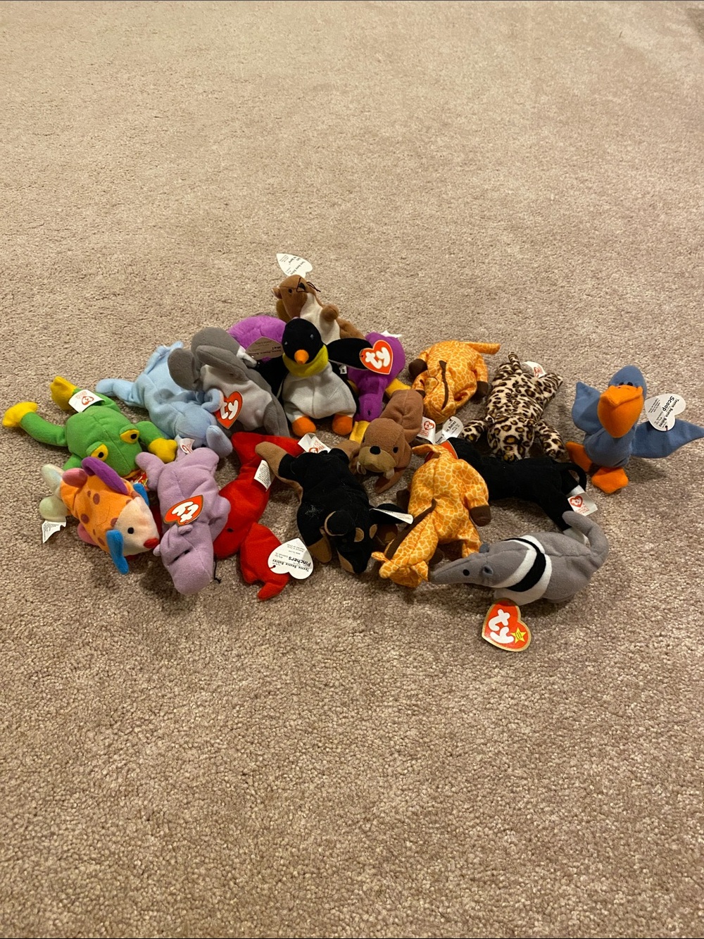 TY Beanie Babies Assorted Plush Small Pets - Multiple new